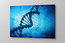 Obraz DNA molekula zs1141